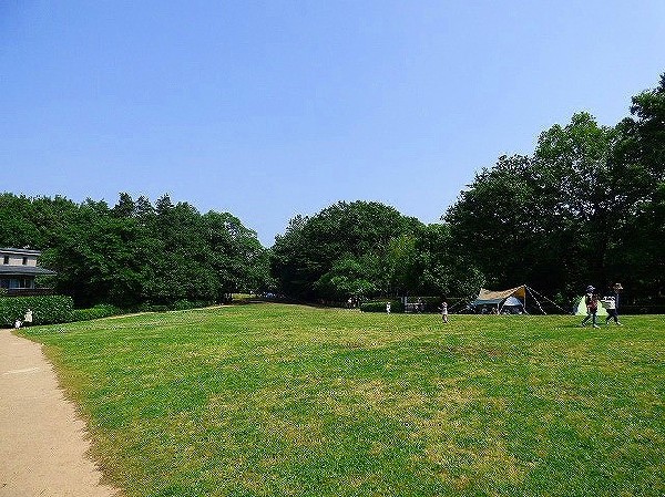 東高根森林公園(四季を感じる自然豊かな大規模公園。自然と触れ合う楽しさを感じよう。)