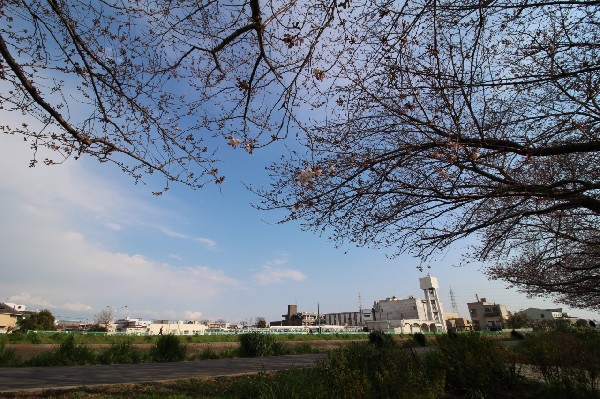 日吉六丁目鏡ヶ淵公園(鶴見川沿いにある桜がきれいな公園。すべり台・ブランコ・砂場があります。)