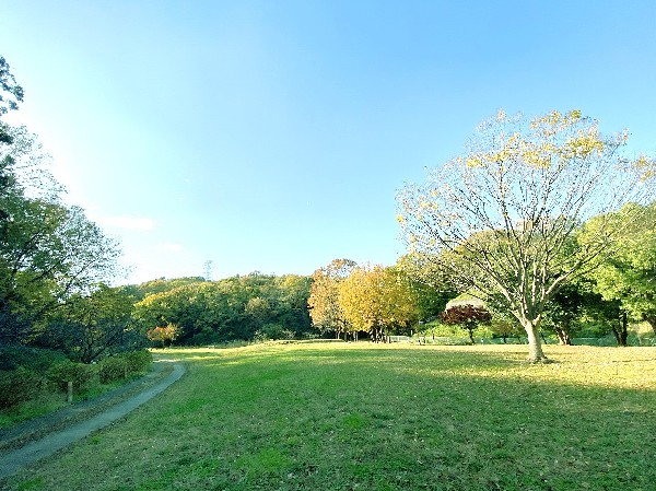 北八朔公園(この公園は雑木林や芝生広場、小川などがある、自然を多く残した公園です。小学校高学年ぐらいから山坂を走り回り、冒険するのに最適。)