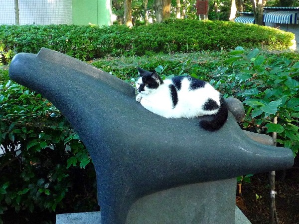 夢見ヶ崎公園(隣接する動物公園は入園無料。シマウマやシカ、レッサーパンダがいるほか、たくさんの鳥類がいて、ペンギンの泳ぐ池もあります。)