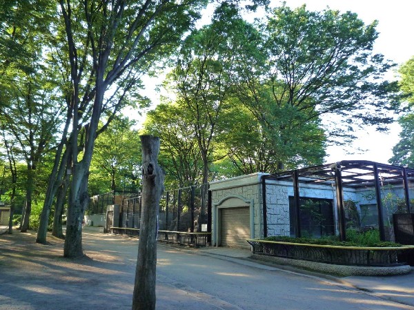 夢見ヶ崎公園　(隣接する動物公園は入園無料。シマウマやシカ、レッサーパンダがいるほか、たくさんの鳥類がいて、ペンギンの泳ぐ池もあります。)