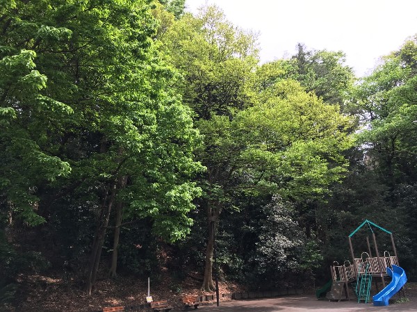 篠原町会下谷公園(昔の樹林地が残る公園。複合遊具と砂場があります。)