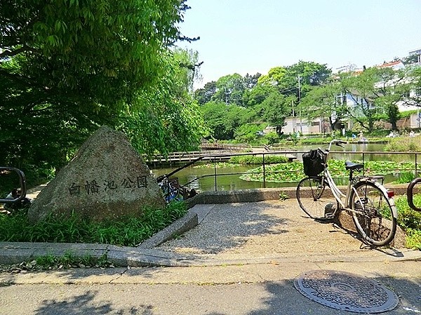 白幡池公園(滑り台、ブランコ、鉄棒がある遊びの広場と、魚釣りができる白幡池があります。)