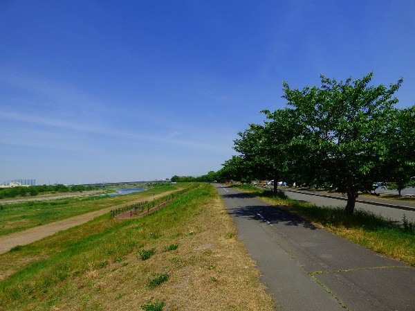 多摩川緑地(のんびり川を眺める。ランニングする。お子様と遊ぶ。バーベキューで楽しむ。花火大会で盛り上る。暮らしをより充実させてくれる住環境です。)