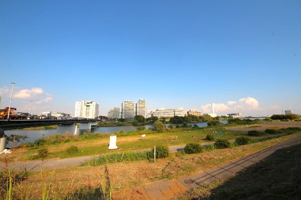 鉄棒広場(多摩川河川敷にある公園。芝生の広場に3台の鉄棒があります。大人も子供の楽しめる懸垂のできる公園。)