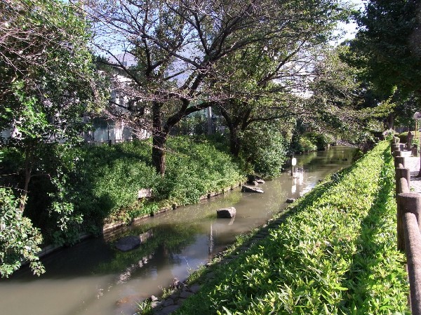 二ヶ領用水 (春には桜が咲き誇る、二ヶ領用水の沿道。四季の移ろいを感じる自然が身近にある幸せは、長く住む地だからこそ大切にしたいとっておきの場所。)