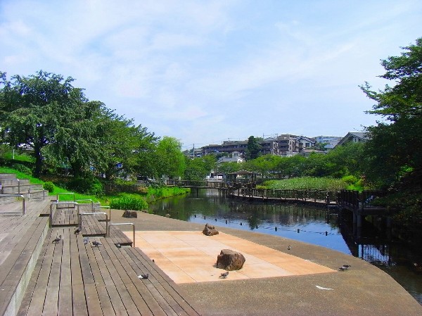 岸根公園 (駅隣接の広くて有名な公園。じゃぶじゃぶ池やアスレチック、大きな芝生広場など、お弁当を持ってピクニックにくる方も大勢います。駐車場も完備。)