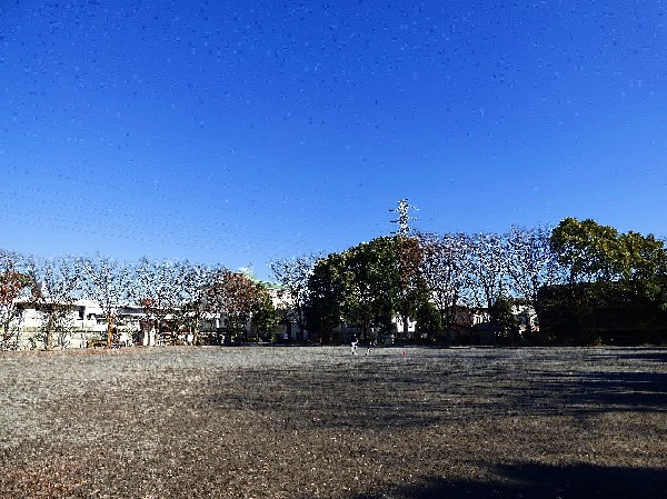 橘公園(大きな複合遊具や広いグラウンド、水遊びもできる遊水広場などがある)