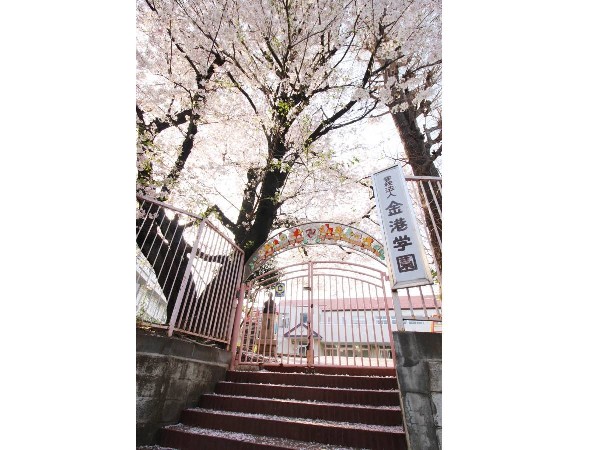 金港幼稚園(創立から100年以上ずっと変わらない遊びを中心にした保育。金港幼稚園で「生きる力」を育てよう。)