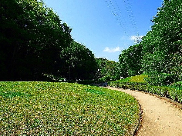 東高根森林公園(休日には、ランニングする人やお弁当を広げてピクニックするご家族で賑わいます。)
