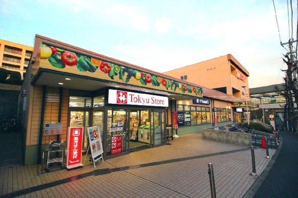 東急ストア江田店(江田駅に隣接しています。平日は22時30分まで営業していますので、お帰りのついでに立ち寄ることもできて便利です。)