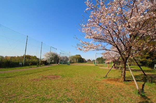 高津区市民健康の森（春日台公園)(野球場が併設されている広々とした公園。都市圏にありながら森林浴が楽しめるほど、自然豊かな場所です。)
