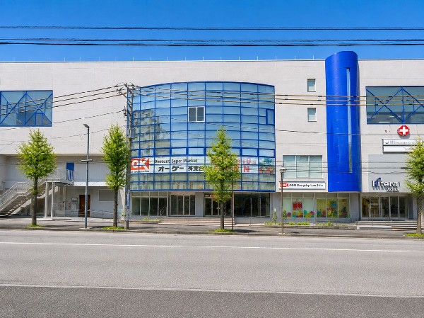 オーケー青葉台店(『高品質・Everyday Low Price』の経営方針のもと、関東を中心にディスカウントセンター及びディスカウントスーパーマーケットを展開)