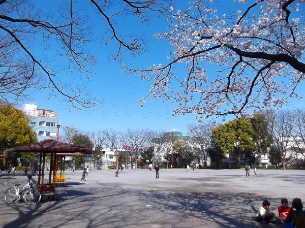 橘公園(大きな複合遊具や広いグラウンド、水遊びもできる遊水広場などがある。)