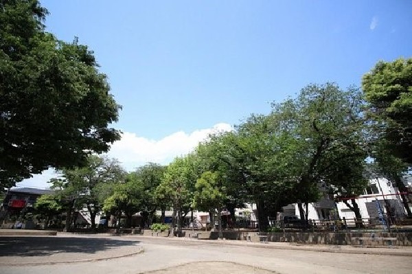 中丸子児童公園(住宅街らしく近隣には公園が複数ありますので、お子様にも嬉しい住環境です。きっと、お気に入りの公園がみつかるはずです。)