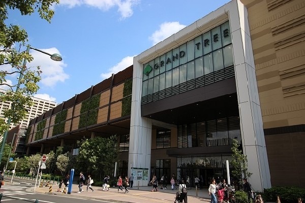 グランツリー武蔵小杉(再開発の一環として2014年にOPEN。小杉駅の発展と共に注目を集め、現在でもファミリー層の人気は衰えず。屋上庭園は憩いの場。)