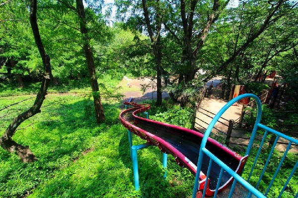 三ッ池公園(子供の遊び場では、ロングすべり台が人気。木々の間をすり抜けて滑る感覚はまさにアトラクション！)