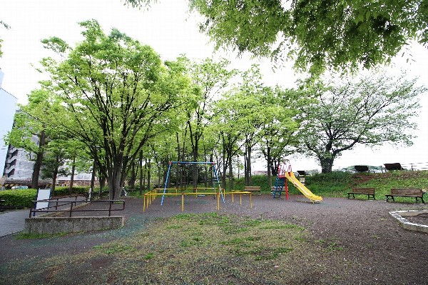 新横浜公園(ドッグランやテニスコート等様々な施設があり、家族連れや子供達が休日を楽しく過ごせる公園です。)