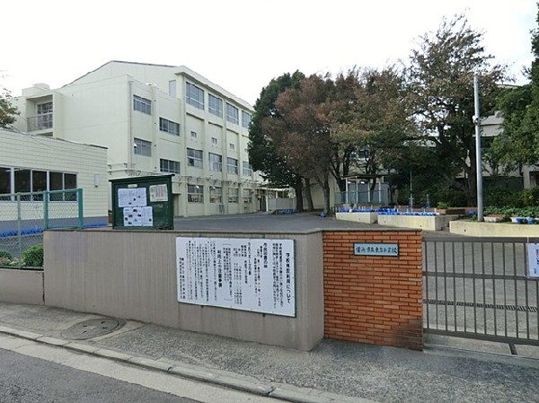 東台小学校(創立１２７年を迎える歴史ある小学校。校庭の四方を囲むように立つ校舎と、大きなヒマラヤスギが特徴的。)