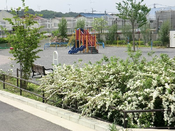 青砥公園(精進橋のたもとにある公園。鶴見川沿いに桜が植えられている。ブランコや複合遊具、広場があり楽しめる。)