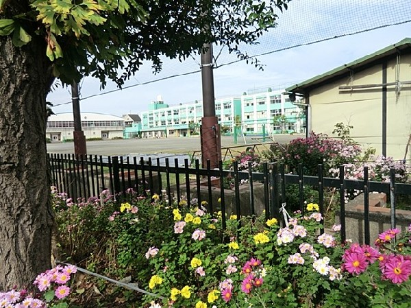 入船小学校(パステルグリーンの校舎が特徴的な入船公園近くの小学校。校庭キャンプなど独自の行事が思い出になります。)