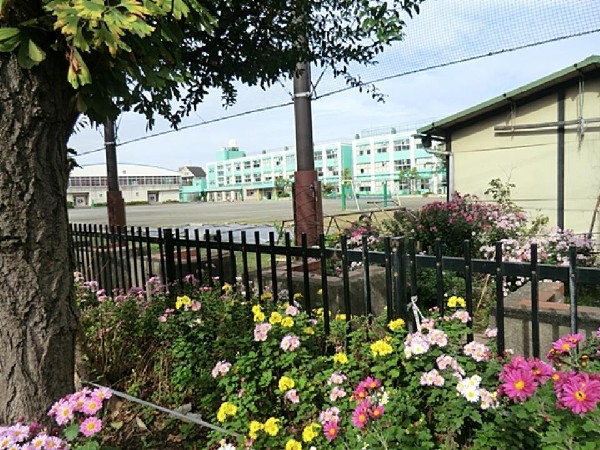 入船小学校(パステルグリーンの校舎が特徴的な入船公園近くの小学校。校庭キャンプなど独自の行事が思い出になる。)