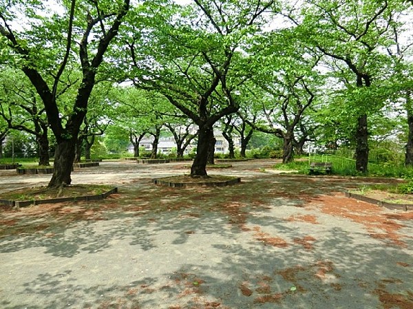 幸ヶ谷公園(電車好きやお花見客に人気の高台の公園。すべり台などの遊具があり、小さなお子さんも安心して遊べます。)