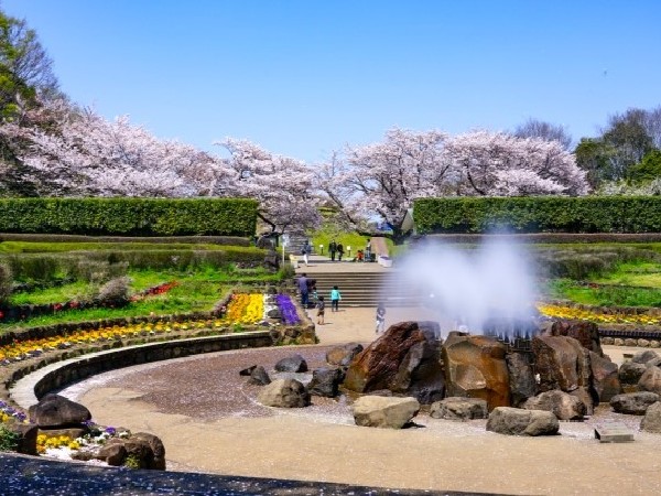 四季の森公園(季節によってさまざまな野花が咲き誇る。ジャンボ滑り台や水遊び可能な池がお子様にも人気。)