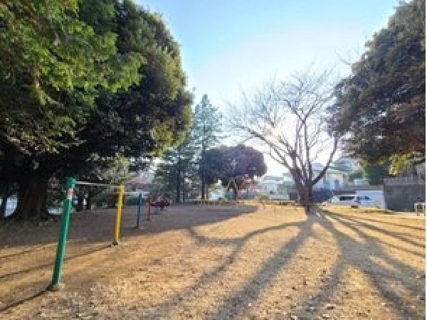 つくし野藤児童公園(全体が芝生で包まれた公園です。 目玉遊具は木の中から滑り込んでくる滑り台。)