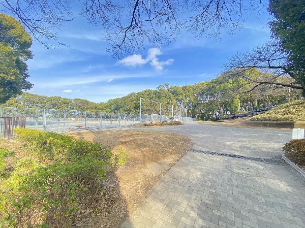 常盤公園(運動広場やテニスコートがある大きな公園。四季折々の梅や桜、椿など様々な草花が咲き、休日のお散歩にぴったりです。)