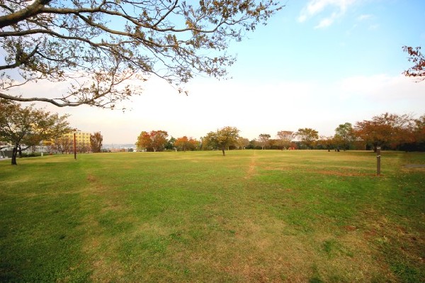 長坂谷公園(スポーツ施設が充実している公園。芝生広場には遊具もあり、大人から子供まで皆が楽しめます！)