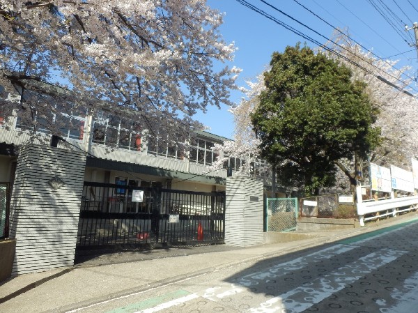 港北小学校(木材を多く使った温かみのある校舎。教室と廊下の間に仕切壁がなく開放的。敷地内に綺麗な桜道があります。)