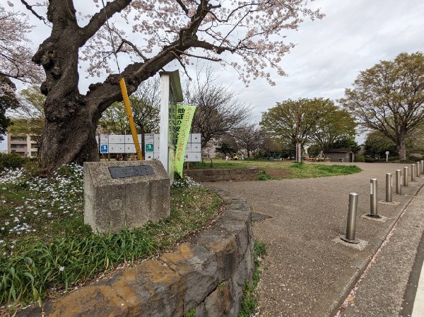 入江町公園(広場と原っぱのある公園。複合遊具やブランコがあり、小さなお子さまも楽しめる。春には桜が綺麗に咲きます。)