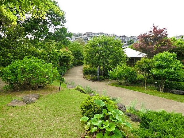 馬場花木園(豊かな緑に囲まれた、和風の風致公園です。桜や紅葉など、四季折々の花々と風情を楽しむことができます。)
