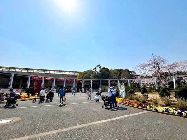 よこはま動物園ズーラシア(オカピが見られることで有名な国内最大級の動物園。世界一周の動物旅行をしているような感覚で楽しめます。)