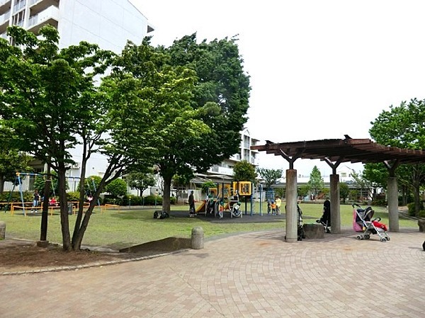 長津田公園(保育園近くの公園。芝生広場や複合遊具、ブランコがあります。花壇には保育園児が植えた花が並んでいます。)