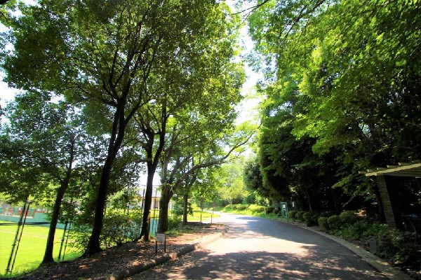 三ッ池公園(春には1600本の桜が咲く名所。テニスコート、プール、ロング滑り台等があり、1日中楽しめる公園です。)