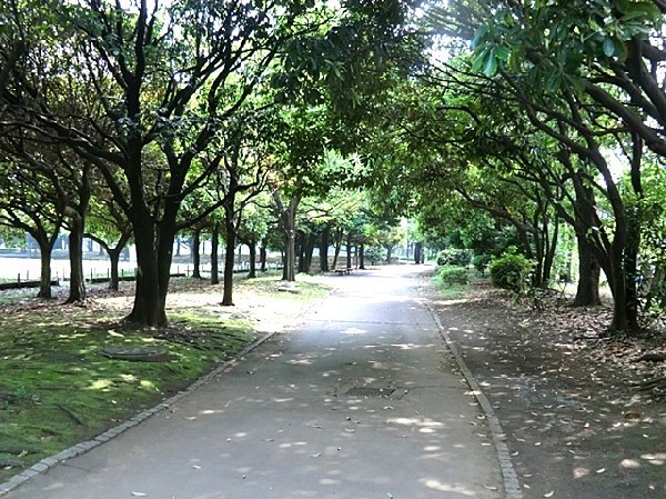 入船公園(ナイター付きの野球場やテニスコート、遊具や芝生広場、ドッグランなどがある広々とした自然公園。駐車場有)