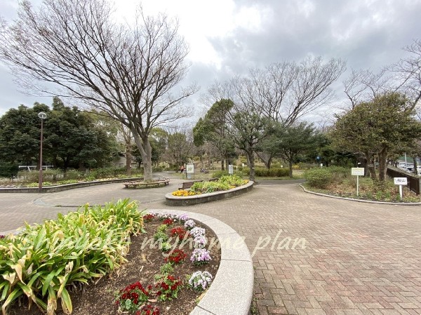 三ッ沢公園わんぱく広場(国体やオリンピックにも使われた歴史ある運動公園。Ｊリーグの試合も行われ、桜の名所としても有名です。)