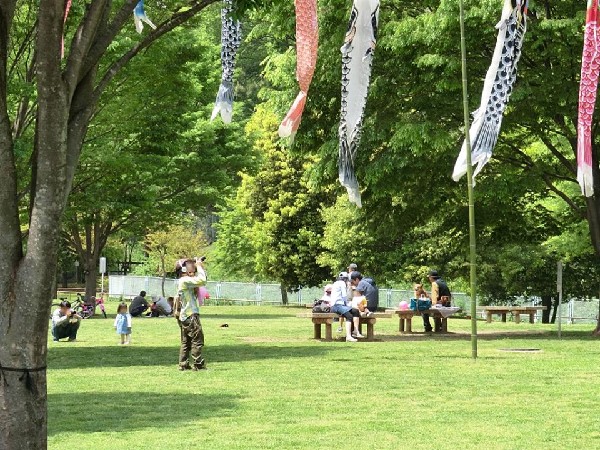 北八朔公園(里山風景を残す穴場の自然公園。夏には蛍も。すぐ裏に港北ＰＡがあるので車好きのお子様に喜ばれる)