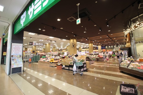 サミットストア新川崎(売り場が広く清潔感のあるスーパー。営業時間は9:00～21:00。ホームセンター併設でとても便利。)