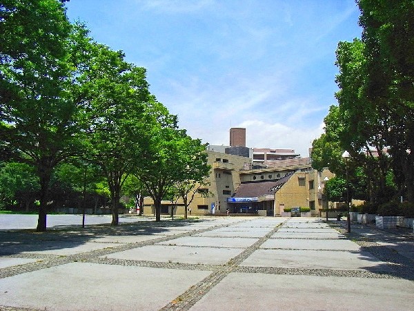  沢渡中央公園 (緑溢れる広い公園。ボール遊びの出来るグラウンドや芝生が心地良い広場があり、思いっきり遊べそうです。 )