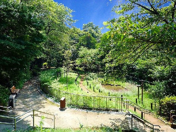 馬場町公園 (春には桜が咲き、夏は木漏れ日が気持ち良い自然豊かな公園。散策道があるので、気軽にお散歩が楽しめます。)