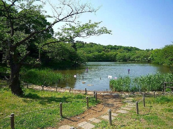 三ツ池公園(春には1600本の桜が開花する名所。テニスコート、プール、ロング滑り台等があり1日中楽しめる公園です)