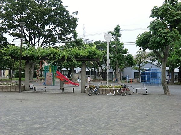 市場公園(住宅街の中にあるゆったりとした公園。複合遊具や広場がありお子様も楽しめそう。春は桜が綺麗に咲く。)