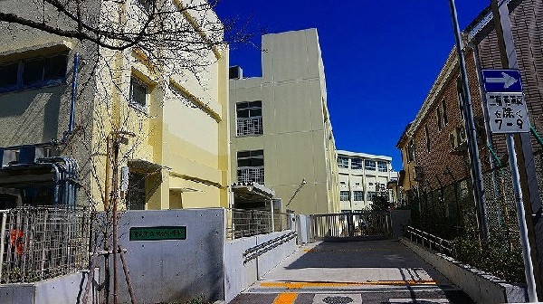 東台小学校(明治27年創立の歴史ある小学校。校庭の四方を囲むように立つ校舎と、大きなヒマラヤスギが特徴的です。)