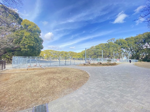 常盤公園(運動広場やテニスコートがある大きな公園。梅や桜、椿など四季折々の花が咲き、休日のお散歩にぴったりです。)