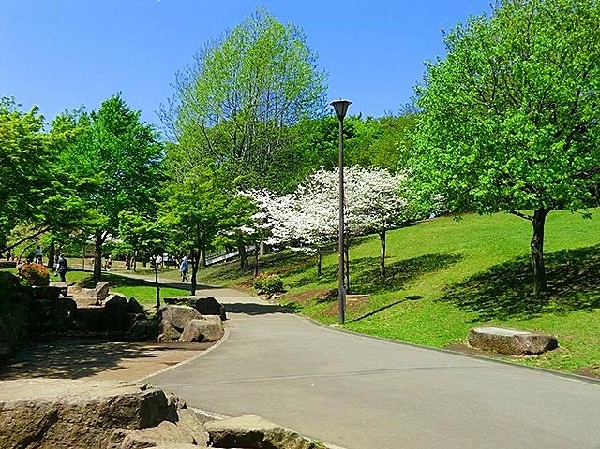 岸根公園(岸根公園駅に隣接する自然豊かな大規模公園。園内には大型遊具や広い芝生広場などがありのびのび遊べます。)